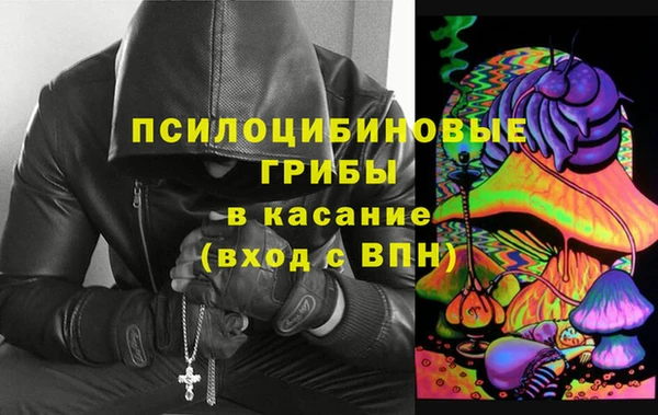 мяу мяу мука Осташков