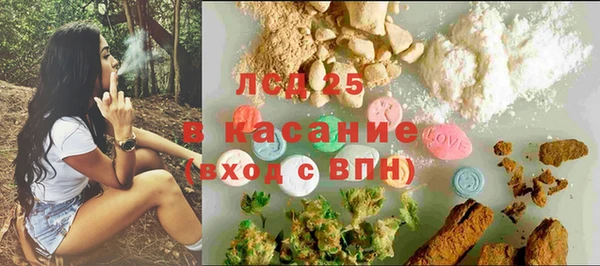 шишки Беслан