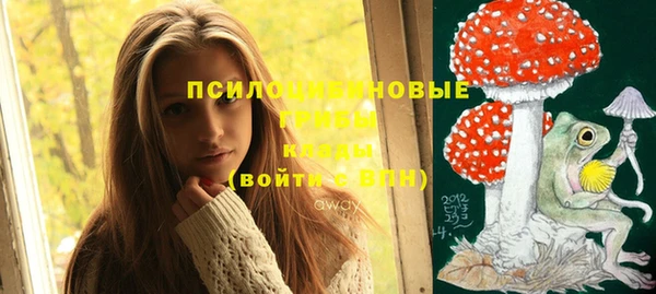 бутират Бикин