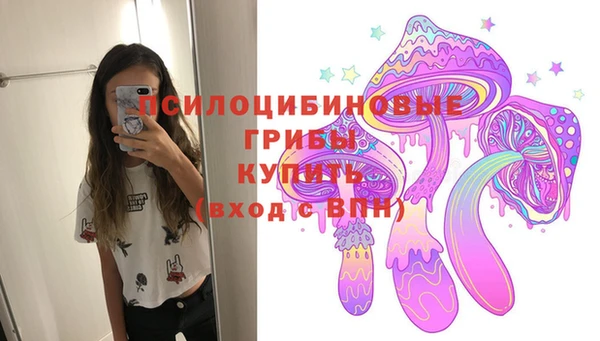 не бодяженный Нязепетровск