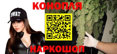 СК Славгород