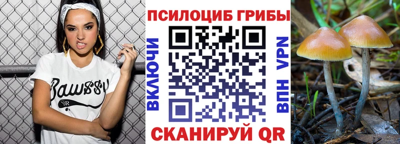 Псилоцибиновые грибы мухоморы гидра ONION Тула